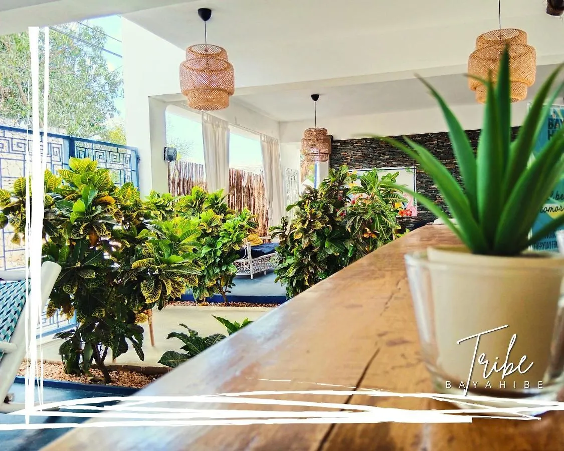 Hotel Tribe Inn Jungle & Flamingo Bayahíbe Den Dominikanske Republik