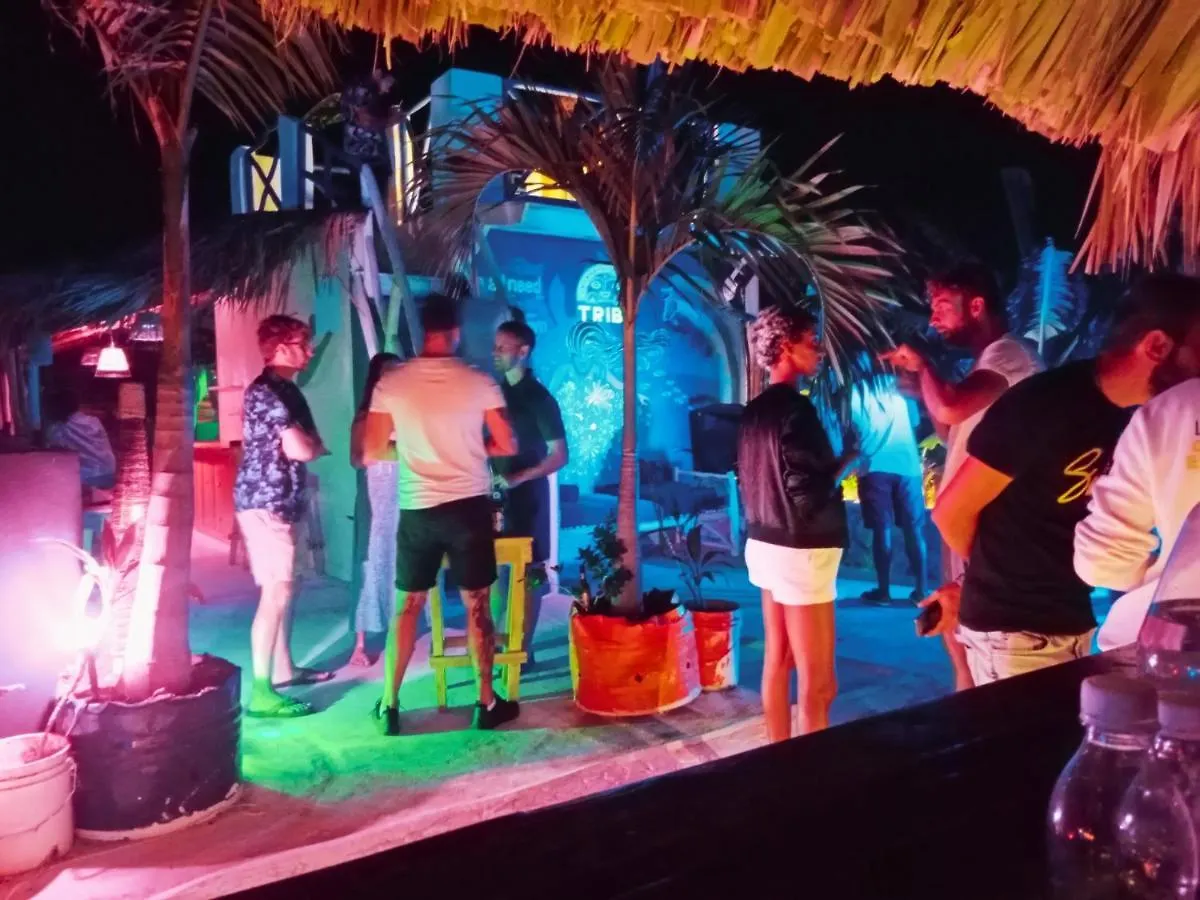 Hotel Tribe Inn Jungle & Flamingo Bayahibe Dominican Republic