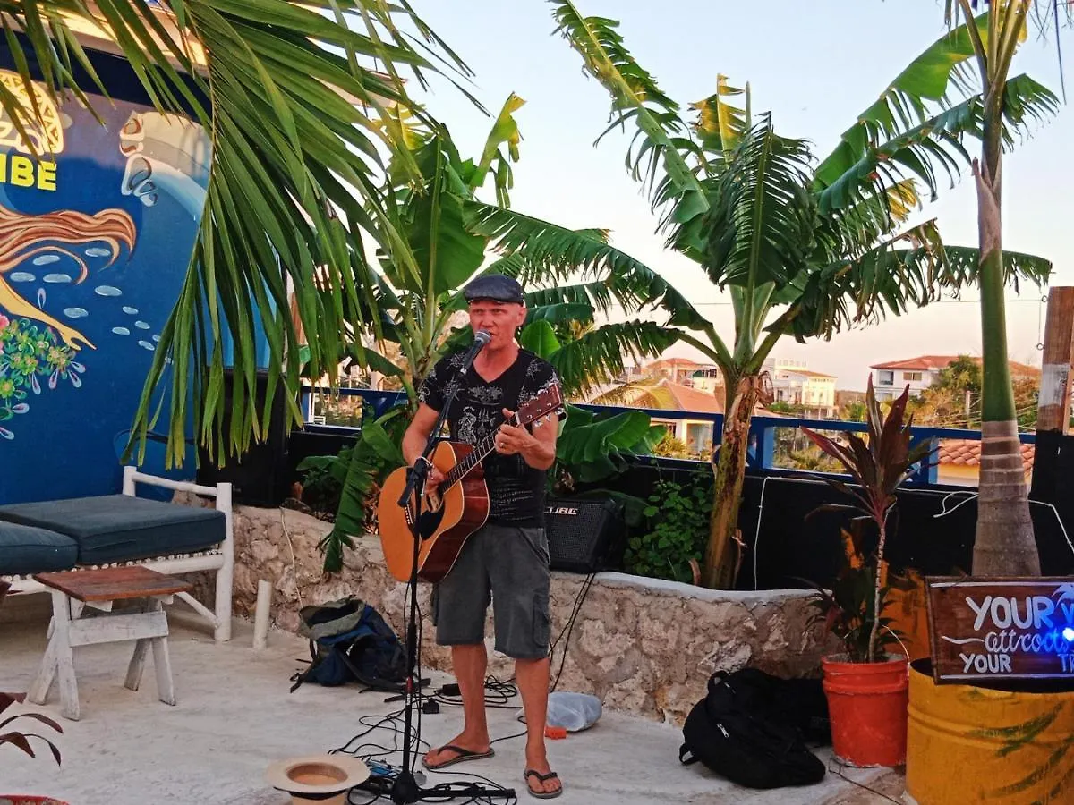 Tribe Inn Jungle & Flamingo Bayahibe
