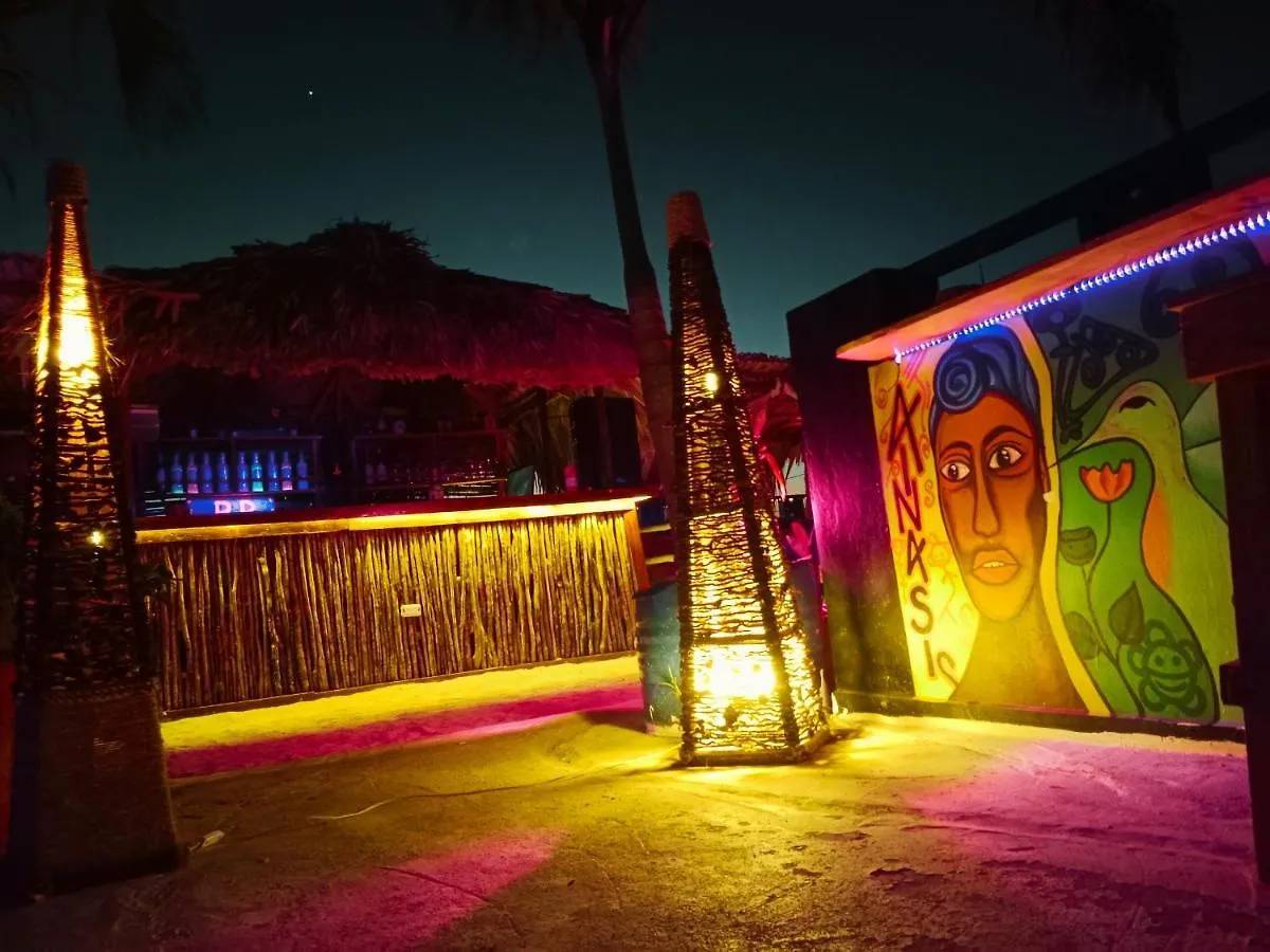Tribe Inn Jungle & Flamingo Bayahibe République dominicaine